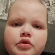 кастратор 2000