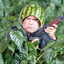 Steam avatar