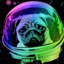 AstroPug22