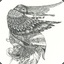 ojomajo