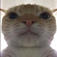 carrot:3 fcit lvl 10