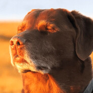 Goder ⛟ - steam id 76561198184013631