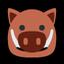 BOAR