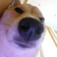 ralf