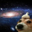 Space Doge