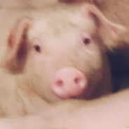 又是一个排球少年