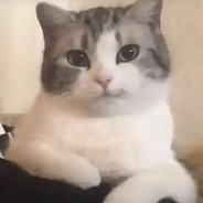 蜘蛛爱惨的男孩