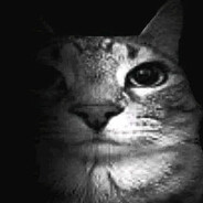 Tổng Tài Bá Đạo