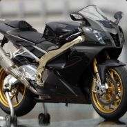 Zen* Aller Go WAR on se réveil