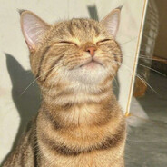 criss-