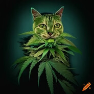 Machorott17 - steam id 76561199038368203