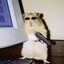 Special Agent Rat