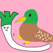 カモをしょったネギ