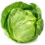 An Actual Head of Cabbage