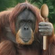 monkey (with spoon) avatar