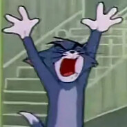 我是最神奇的猫咪