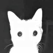 Повелитель NPC avatar