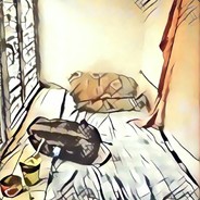 会飞的中华田园鹅