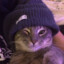 smokesta profile picture