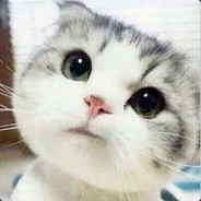 私は人生が大好きです