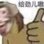 一只匪猪