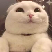 年迈的太阳骑士