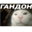 Хасанбой