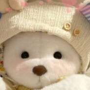 可爱小熊熊的小号