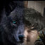 [66] Nheam Introvertboy