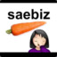 SAEBIZ