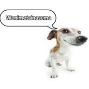 chlopek_HuberciQCASE.GIFT