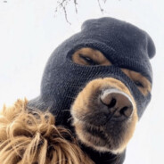 anh dắt e đi ăn kem nà