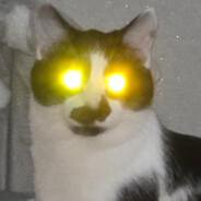 WOW10 avatar