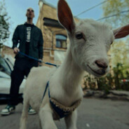 Тихая роскошь 52