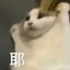 阿虚