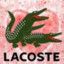 Lacoste Bratan