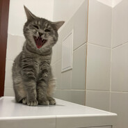 JORANOJ - steam id 76561199246624463