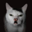 Adolf Kitler