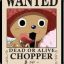 Tony Tony Chopper