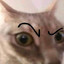fiszy
