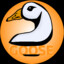 GOOSE