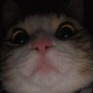./.