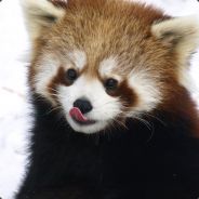 TarikWasHere
