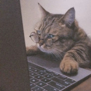 名字太短我不理解