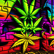 14ACAB jamaica boSS88