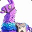 Llama