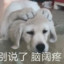隔壁老王卖屁股起大狙