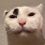 Tank Role Enjoyer
