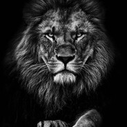 marquez - steam id 76561199873589672