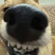 玩家头像